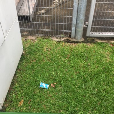 ゴミ拾い団体Pickyのアカウントです。シンガポールで月に1、2回ゴミ拾いしています。ゆるく世界に貢献したい方、一緒に参加しませんか？管理人アカウントは@na_o323