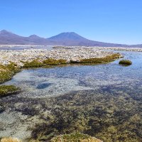 Constanza (@cvdoorman) 's Twitter Profile