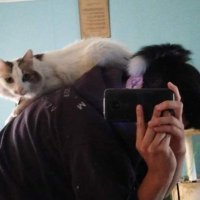 Atma_ (@atmacl_) 's Twitter Profile