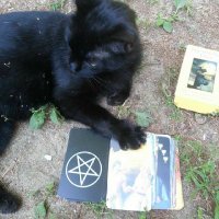 Pierce (@pepeelgricho) Twitter profile photo