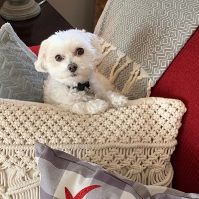 cagessert's profile picture. 