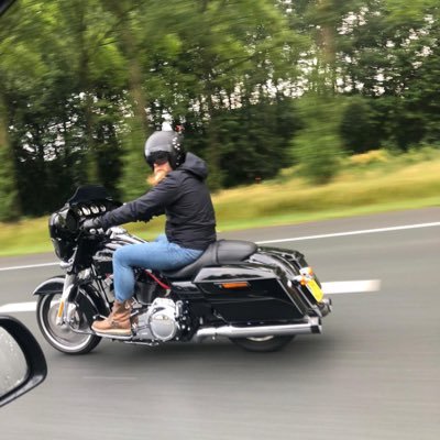 MarkSteenbeek's profile picture. $VET #VeFam #BelieVet