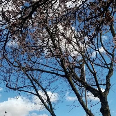 2nd year medical student👩⚕️| interested in endocrinology, paeds and O&G | new account