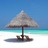 Beach_Cabana's profile image