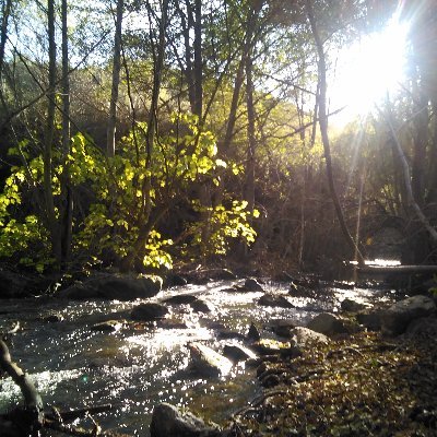 Entusiasta del conocimiento, seguidora del desarrollo sostenible y apasionada por la conservación marina