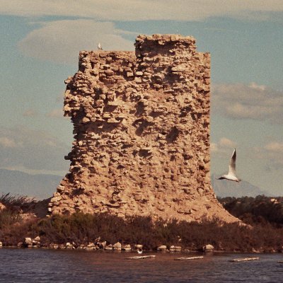 congyro's profile picture. Congȳro (1ª. Tr.): dar la vuelta alrededor.
Mi día a día en el mundo del comercio, ventas y atención al público. También marketing y ecommerce.