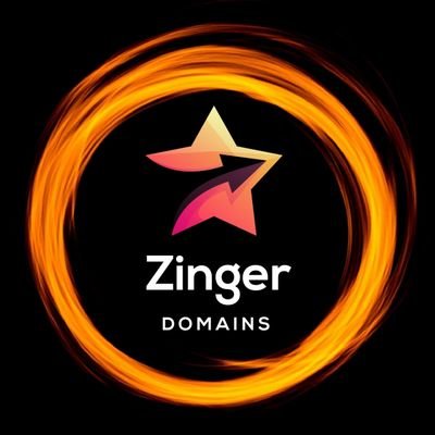 ZingerDomains - UK Based domain buyer/seller.