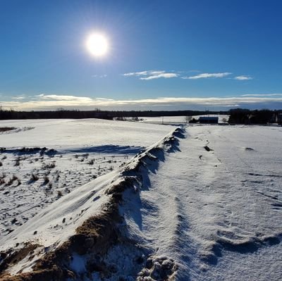 BrystonSinclair's profile picture. 