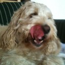 Sean Moritz - @SeanMoritz - Twitter