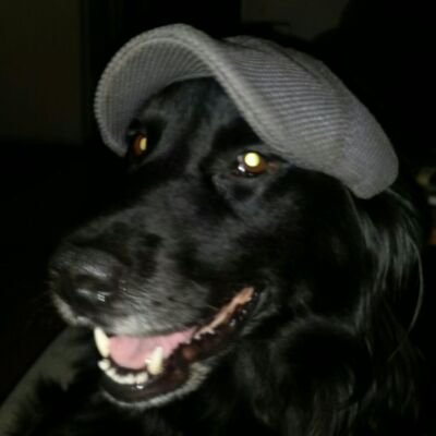 baxterball44's profile picture. 