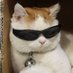 DaT (@vikdat_) Twitter profile photo DaT (@vikdat_) Twitter profile photo