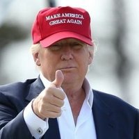 🚨FlaRedState 🇺🇸❤🐘 (@flaredstate) 's Twitter Profile