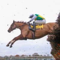 Tomas O'Brien (@tjobrien12) 's Twitter Profile