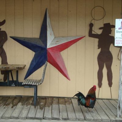 NeTiNa_TX's profile picture. Teaching teenagers ❤️ English/Français/Deutsch/DaZ *liebt das Ausland, besonders Texas! #longhorns #twitterlehrerzimmer #notjustsad ; #harrypotter