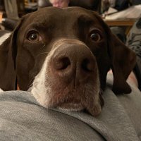 Tom (@tom76521531) Twitter profile photo