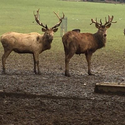 jelly_51113's profile picture. A teacher. and a thinker! Love learning.