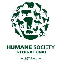 HSI Australia(@hsiaustralia) 's Twitter Profileg