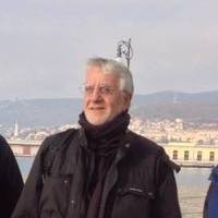 Pier Luigi Nimis (@plnimis) 's Twitter Profile
