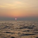 Ted Choi - @TedChoi31575806 - Twitter