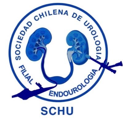 Filial de Endourología Chile - SCHU