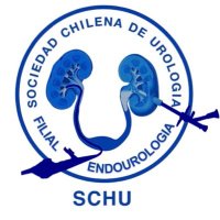 Filial de Endourología Chile - SCHU (@filialendouro) 's Twitter Profile Photo Filial de Endourología Chile - SCHU (@filialendouro) 's Twitter Profile Photo