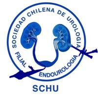 Filial de Endourología Chile - SCHU(@filialendouro) 's Twitter Profile Photo