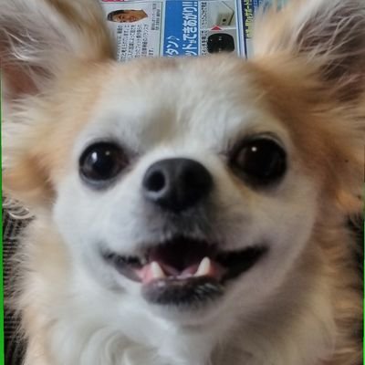 らうむ U 誰のせいで店員さんが過呼吸起こしてんだ グッディ らうむ U 誰のせいで店員さんが過呼吸起こしてんだ グッディ