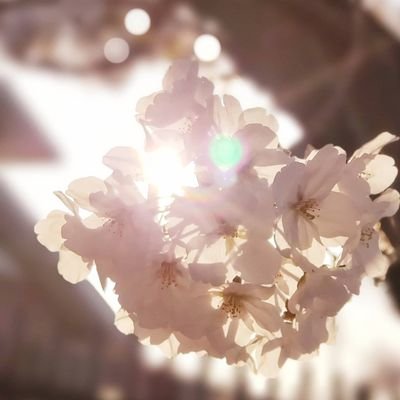 Imtmynrkrmxy28's profile picture. お笑いとか特撮とか 好きな人の話しかしない うるさめ 基本公式垢以外はフォローしてません