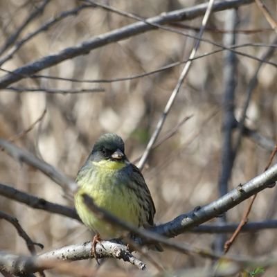 JSLcR6gfnwAjPsr's profile picture. 