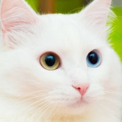 sejarahhidup__'s profile picture. Hanya ingin mengungkapkan kata lewat ketikan yg tidak mampu terucap secara langsung.
semoga mampu:)