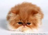 melissagmm's profile picture. 