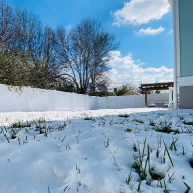 tmannanh's profile picture. Mom, coffee addict, and married to the luckiest man in the world 🎶