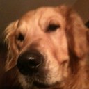 Lourdes Espinal - @lourdesespinal - Twitter