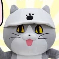 ほわいと🎵 (@whitekansei0918) Twitter profile photo