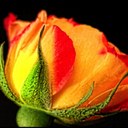 Paul Seay - @photofan1 - Twitter