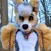 Captain 𝔽𝕣𝕚𝕥𝕫 Da Cosmonaut Doggo 🚀 (@thefritz_1941) Twitter profile photo Captain 𝔽𝕣𝕚𝕥𝕫 Da Cosmonaut Doggo 🚀 (@thefritz_1941) Twitter profile photo