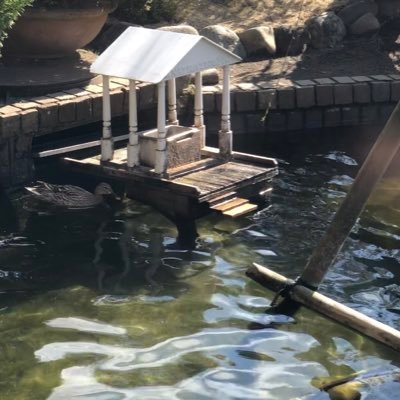 gyok6coku's profile picture. web制作を勉強中、＃駆け出しエンジニア の大学生をしています。