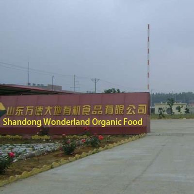 Manufacturer and Exporter of frozen vegetables & fruits from China