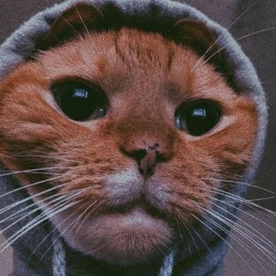 Liam87719455's profile picture. I'm small