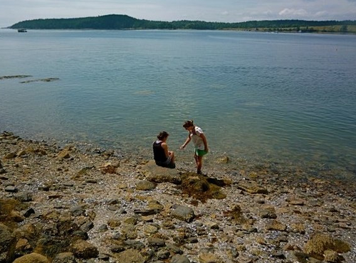 DrewVerardo's profile picture. 