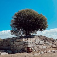 Virgülden (@virgulden) Twitter profile photo