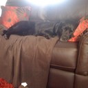 Noel Taylor - @Chefnoz - Twitter