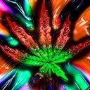 Todd poling - @Tpoling559 - Twitter