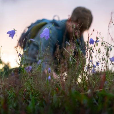 Sharing our biodiversity. Invertebrate focus but look for all. 

NI Conservation Officer for @buglifeNI

#OurOpiliones