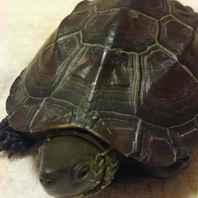 Kaido_238120's profile picture. 