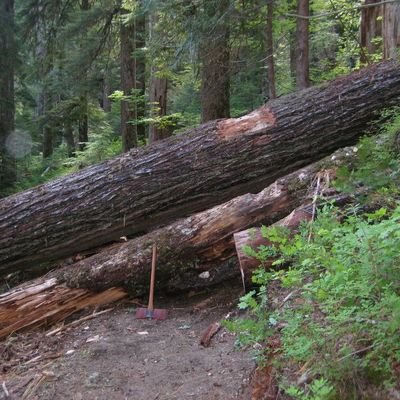 HenryPanter's profile picture. me