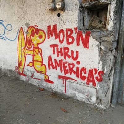 CanaryBrad's profile picture. 