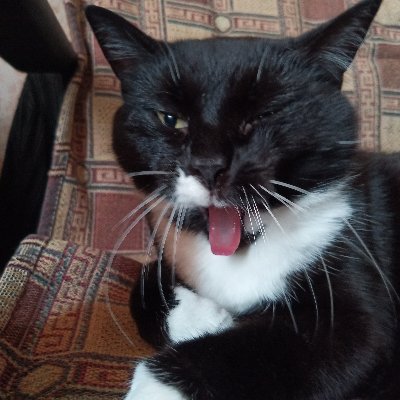 Evgeny42325524's profile picture. 