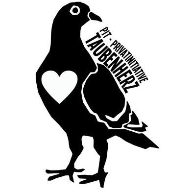🕊 Pflegestelle für Tauben 🕊, 🌱, Tierschutz
https://t.co/R2CeeG9vAR