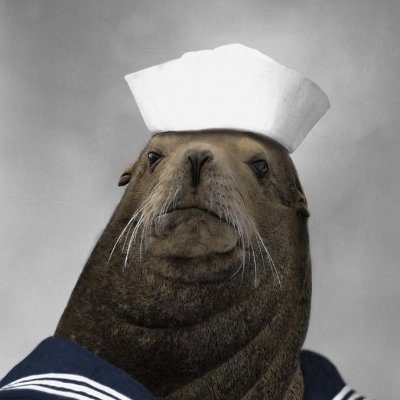 _Seal_The_Deal Profile Picture